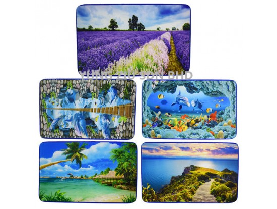 60*90CM 3D PICTURE DOOR MAT